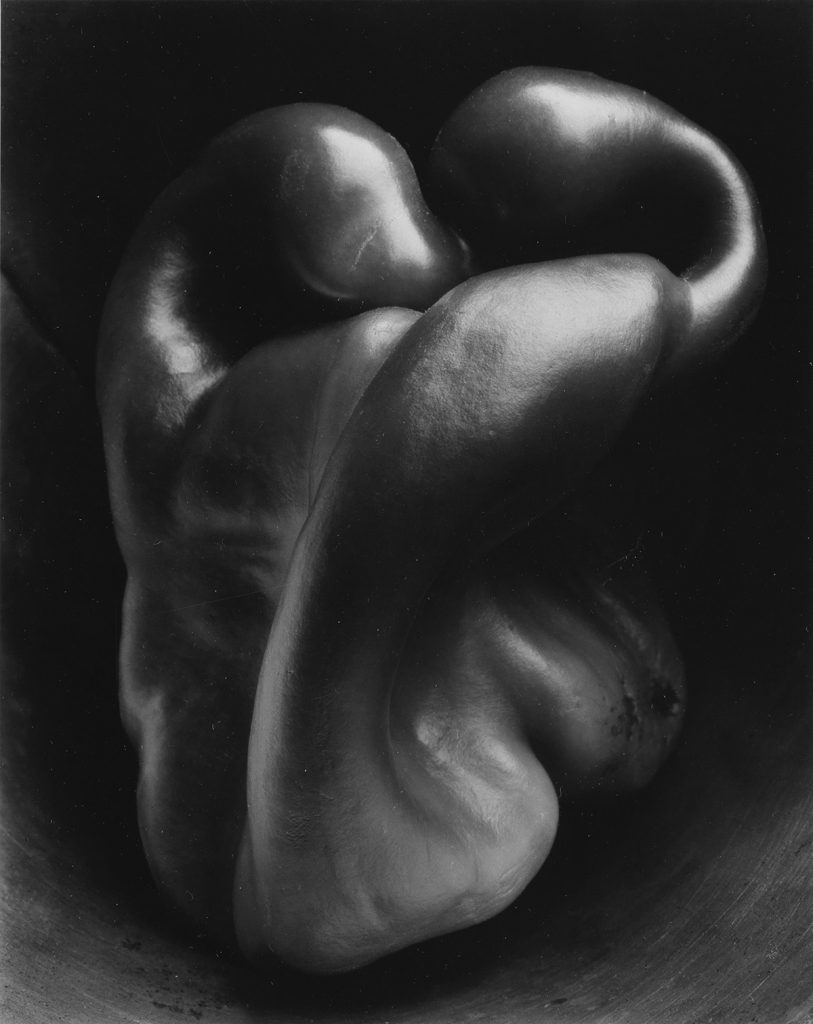 Edward & Cole Weston, Pepper #30, silver print, 1930, printed late 1960s